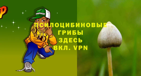 ГАЛЛЮЦИНОГЕННЫЕ ГРИБЫ Армянск