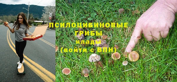 ГАЛЛЮЦИНОГЕННЫЕ ГРИБЫ Армянск