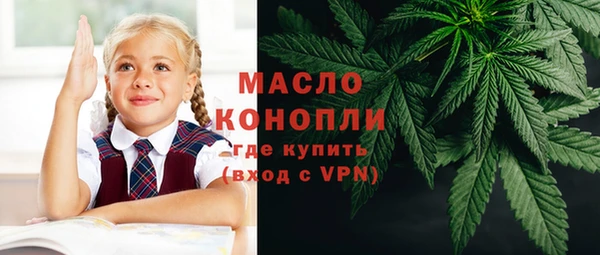 стаф Аркадак